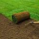 What Is Sod and How to Use It for an Instant Lawn