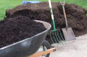 How to sale mulch for plants
