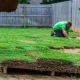 Introducing New Sod? Get advice on when to install new sod and how to care for it.