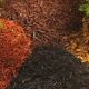 The Benefits of Brown Mulch