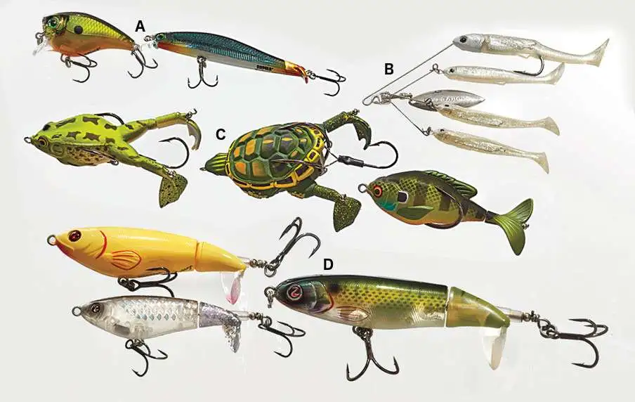 Guide to Dick's Sporting Goods Fishing