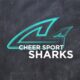 Amilia Cheer Sport Sharks: New England