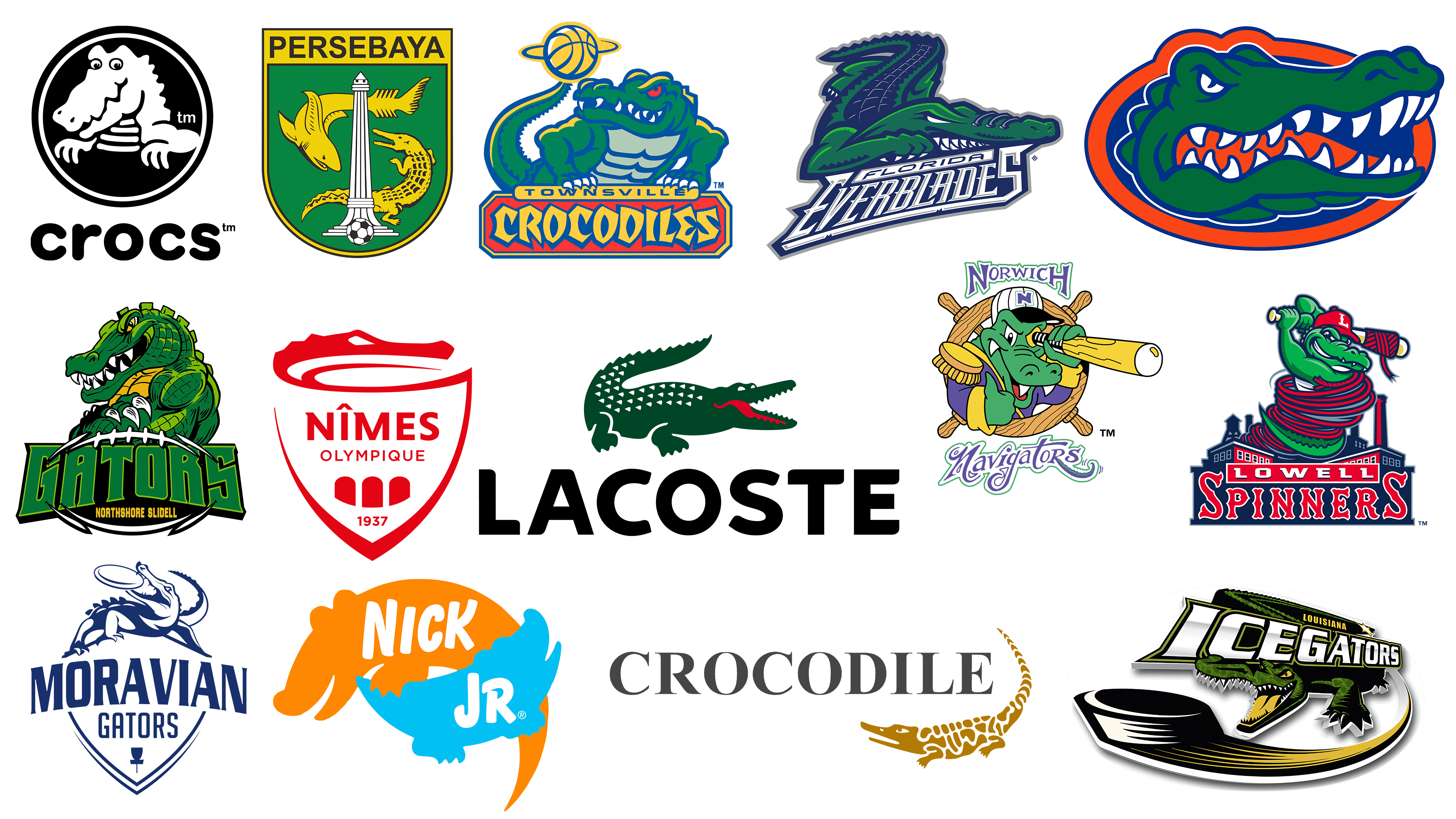 Fashion Brand with a Crocodile Logo Crossword