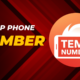 Temporary Phone Numbers